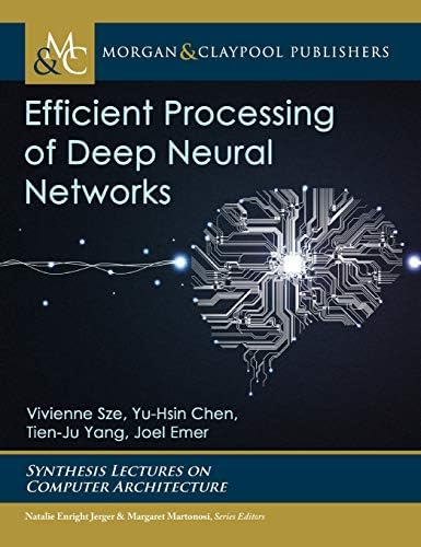 Efficient Processing of Deep Neural Networks (Synthesis Lectures on Computer Architecture)