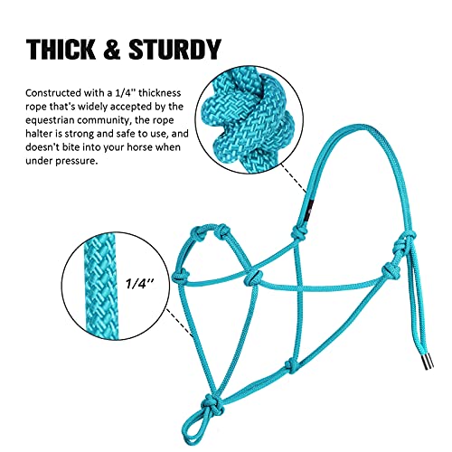 Cabestro de cuerda para caballo Harrison Howard súper resistente de 4 nudos turquesa 4