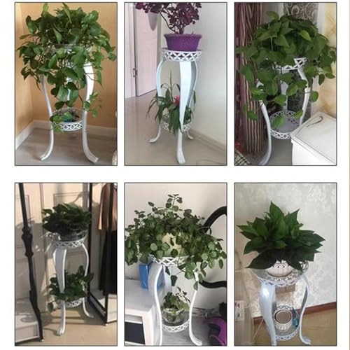 Support à plantes en fer noir robuste avec double plateau d'affichage