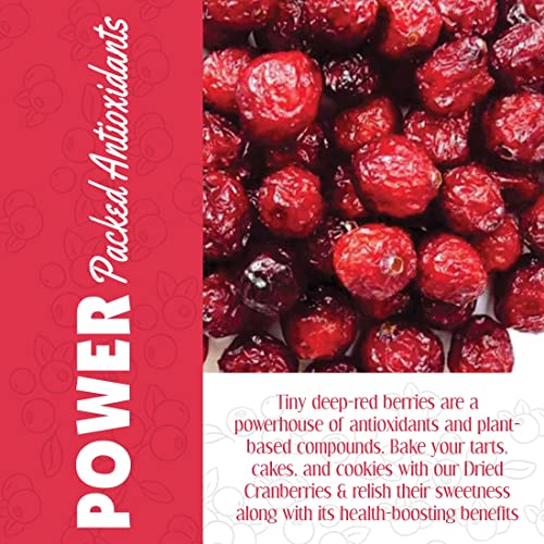 Image of 20-20 Dry Fruits Dried Cranberry Jar 400g (200g*2) | High in Antioxidants | Perfect for On-the-Go Snacking & Healthy Recipes | Naturally Sweet | Gluten Free & Vegan Dried Berries (Pack of 2)