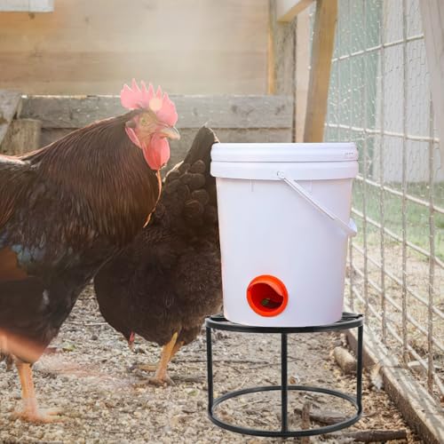 Mangeoire et abreuvoir à poulets stables grâce au support métallique antichoc