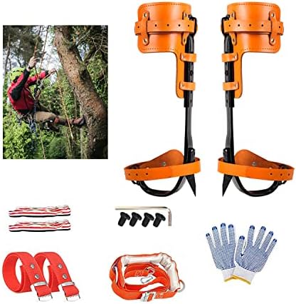 Tree Climbing Gear, Tree Climbing Spikes with Adjustable Belt & Non-Slip Pedals, 304 Stainless Steel Tools Kit for Tree Climbing, Fruit Picking, Outdoor Sports and Hunting. (Leather With Safe-Belt)
