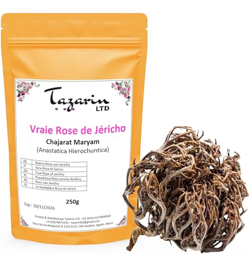 250g Rose von Jericho - Chajarat Mariam - Pflanze, die Fruchtbarkeit Fördert - Ungefähr 10 Stück - Anastatica Hierochuntica - 100% Natürlich, Rein und Ohne Zusatzstoffe | Premium-Qualität