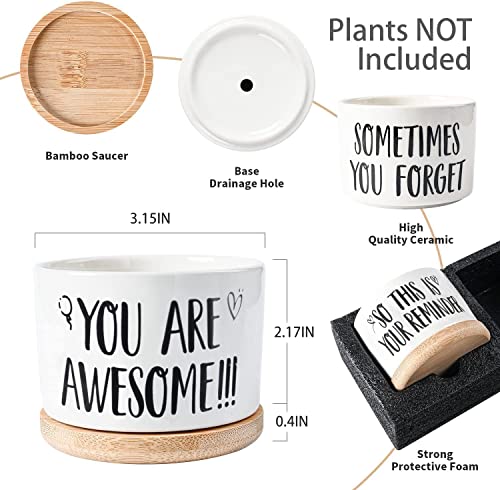 Easymoo Birthday Gifts For Women, Unique Funny Gift Ideas For Friend, Her, Sister, Mom Men Awesome Succulent Pots 3Pcs #TOP1