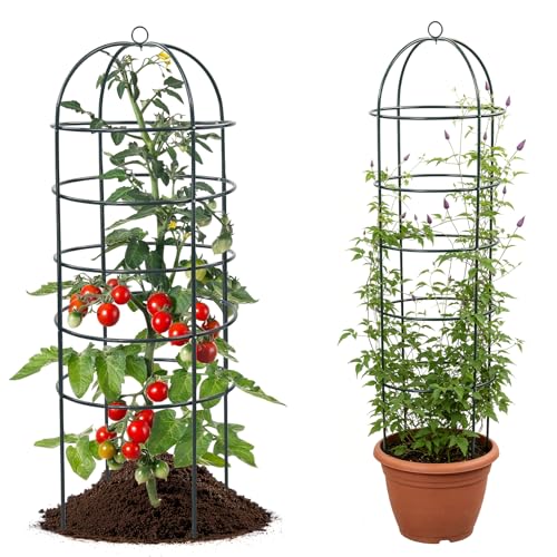 Trellis for Climbing Plants Outdoor, 2Pcs 75" Tall, 21" Dia, Heavy Duty Metal Garden Trellis Tower Potted Cages for Flowers Fruits Vegetable Cucumber Tomato Rose Clematis Pea Bean Raised Bed Trellises