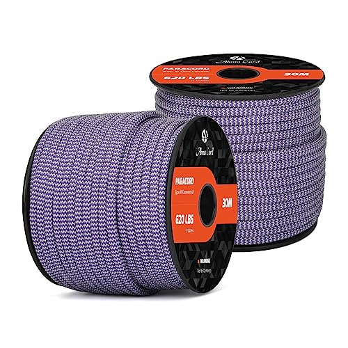 Abma Cord Paracord 620 lbs 4mm 9 Strands 100% Nylon 30M - Purple & Silver Grey, Shockwave-purple & Silver Grey, 30 Meters