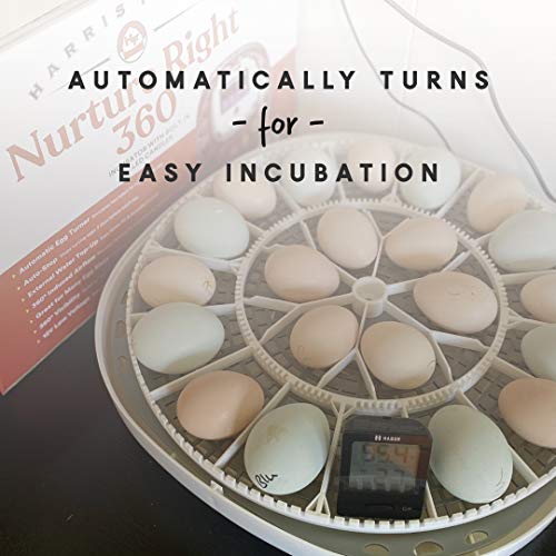 Manna Pro Harris Farms Nurture Right Incubator Egg Incubator for