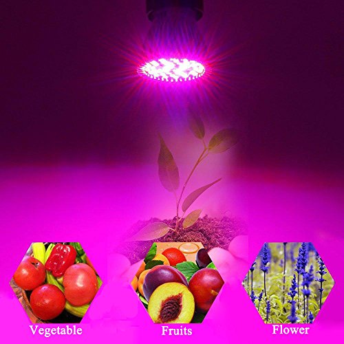 Mejores precios y opiniones de Focos led cultivo los preferidos por los clientes. 30 Imagen adicional