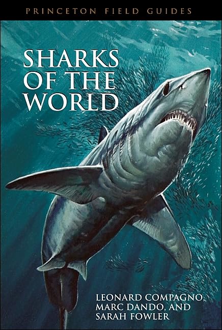 Buy Sharks Of The World (Princeton Field Guides) — BookShops.in