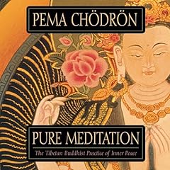 Pure Meditation Audiobook By Pema Ch&ouml;dr&ouml;n cover art