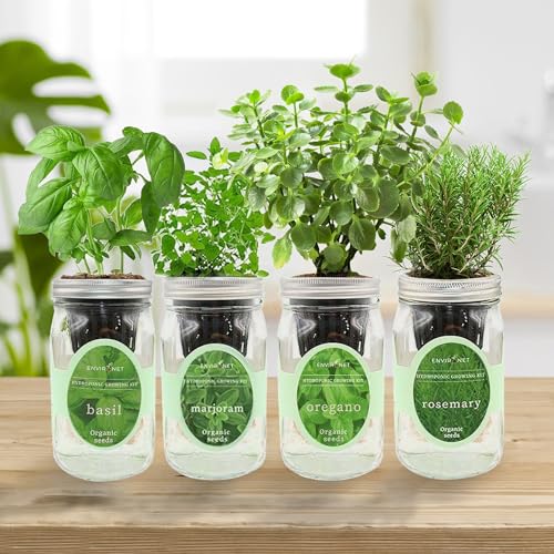 Environet Hydroponic Mason Jar Indoor Garden Organic Seed Starter Kits - Italian Herb Blend Growing Kits, Windowsill Herb Garden, Gardening Gift (Basil, Marjoram, Oregano, Rosemary)