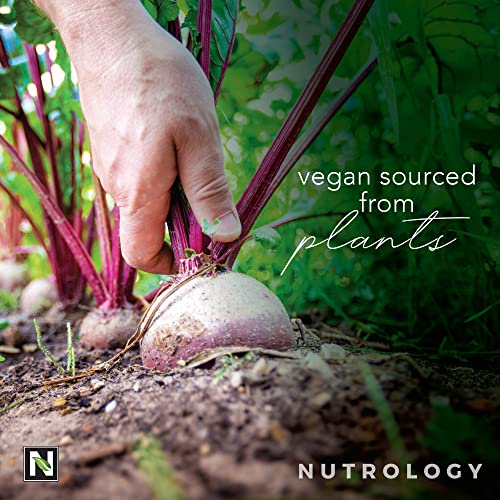 Nutrology Beet Natural O2 - All Natural Pre-Workout With Beet Root Powder - Increase Energy & Focus - Vitamin C, Yerba Mate, Lions Mane Adaptogen Blend & Electrolytes - Passion Fruit (30 Servings) #TOP7