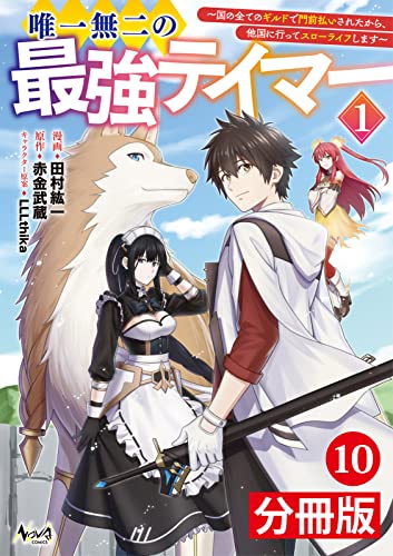 唯一無二の最強テイマー~国の全てのギルドで門前払いされたから、他国に行ってスローライフします~【分冊版】(ノヴァコミックス)10