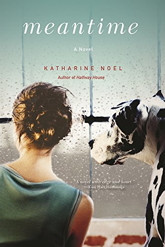 Meantime: A Novel