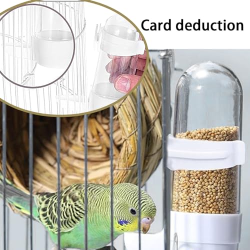 Accessoires de cage automatique pour oiseaux et distributeur eau - 4