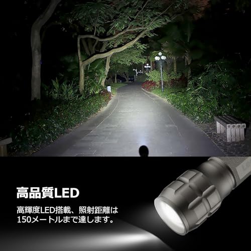 Lighting EVER LED懐中電灯 1200012-A