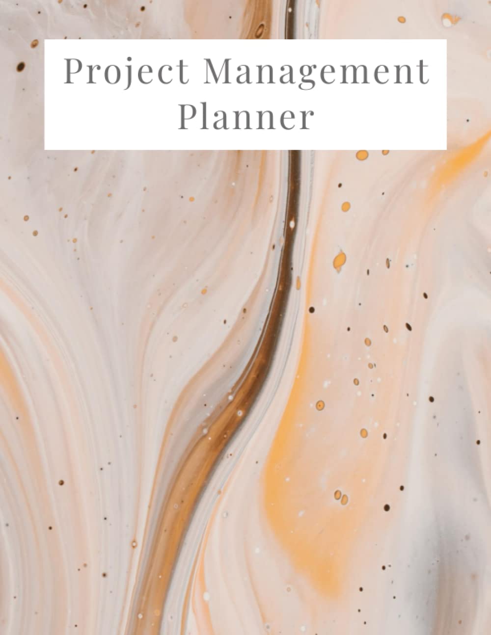 Project Management Planner