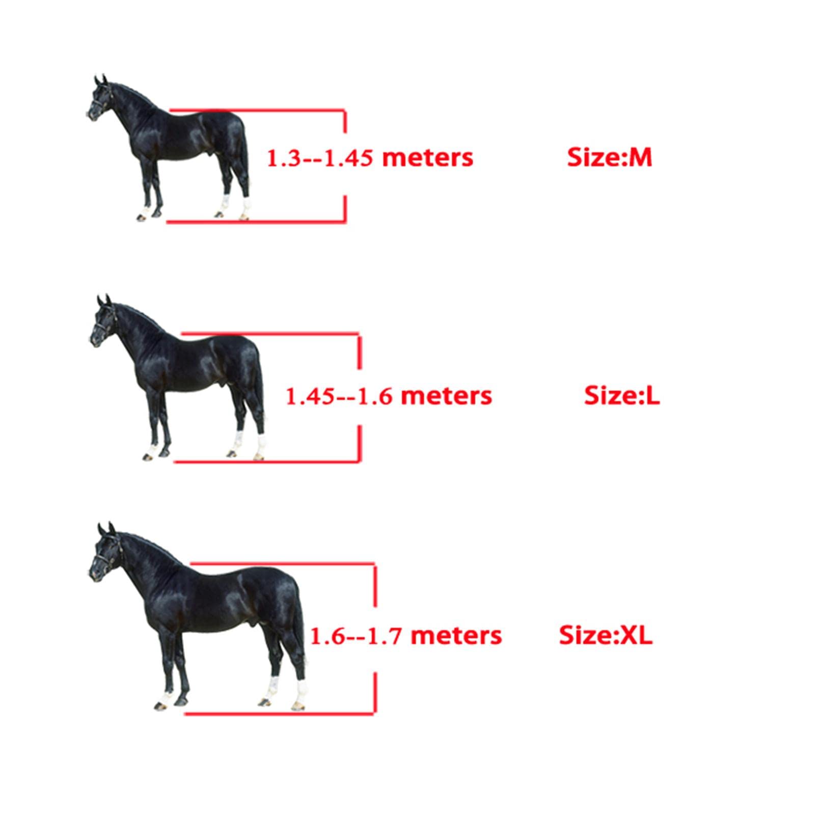 predolo Botas de Férula para Caballos, Juego de Soporte para Piernas Delanteras Y Traseras para Equipo Ecuestre de Equitación