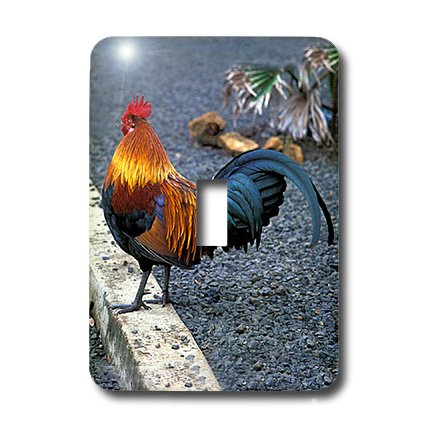 Interrupteur à bascule simple coq : commande électrique murale pour maison rustique - 3