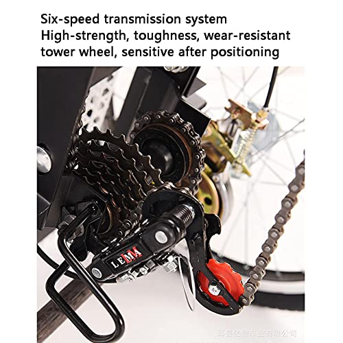 ZJZ Drie Wielige Fiets 20 Inch Volwassen Driewielers Fiets Met Winkelmand Trike Fiets Voor Winkelen Buitensporten Heren… - Afbeelding 5