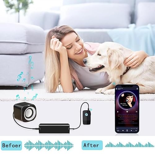 Switian Entstörfilter Ground Loop Noise Isolator, 3,5 mm Audio Filter für Auto Audio & Heim Stereo Systeme, Rauschunterdrückung für Lautsprecher, Soundbar, Autoradio, PC, Smartphone