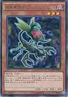 (未使用･未開封品)　遊戯王OCG 捕食植物オフリス・スコーピオ レア MACR-JP009-R 遊☆戯☆王ARC-V [マキシマム・クライシス] qdkdu57 Amazon.co.jp: 遊戯王OCG 捕食植物オフリス・スコーピオ レア