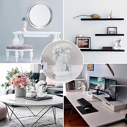 Fazhongfa Greek Statue Of David Bust Resin Sculpture For Roman Bookshelf Tabletop Office Home Decor 6.5 Inch David Head Artist Figurine Succulent Planters Dried Flowers Vase Makeup Brush Pen Holders #TOP2