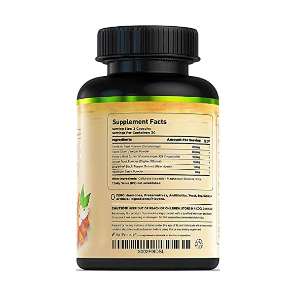 Turmeric-Curcumin-with-Ginger-Apple-Cider-Vinegar-BioPerine-Black-Pepper-95-Curcuminoids-Natural-Joint-Healthly-Inflammatory-Support-Antioxidant-Tumeric-Supplement-Made-in-USA-Natures-Base Turmeric and Ginger Supplement - Tumeric Curcumin Joint Support Pills - with Apple Cider Vinegar & BioPerine Black Pepper - 95% Curcuminoids - 60 Capsules