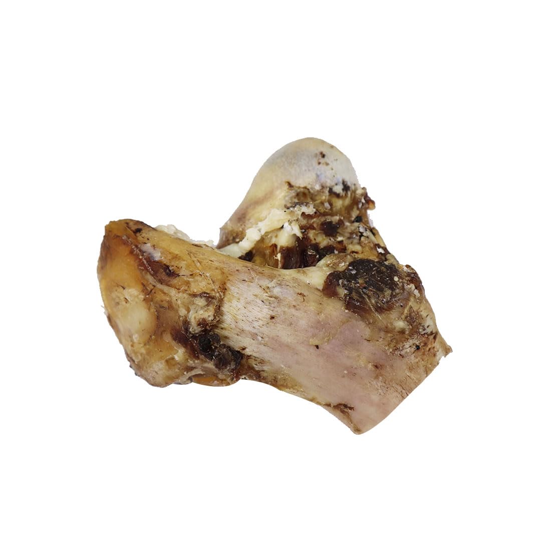 Petrix Buffalo Knuckles Bone with Meat- 1Pcs - Dog Bones for Aggressive Chewers Promotes Dental Health, Single-Ingredient, Long Lasting Real Bone Treat (B0CV5MRKGN) Amazon Price History, Amazon Price Tracker