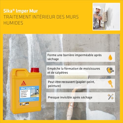 Stopper les moisissures avec Sika Injectocream 100 et résine