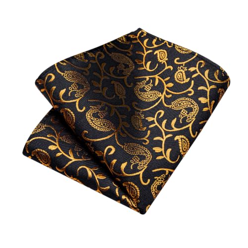 Image of DiBanGu Silk Floral Ties for Men Woven Paisley Necktie and Tie Clip Handkerchief Cufflinks Set for Party Wedding