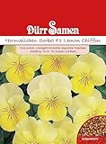 Hornveilchen Samen Gelb Hornveilchensamen Veilchen ca 25 Korn Saatgut Blumensamen Garten Hochbeet Balkonkasten Kübel Dürr Samen