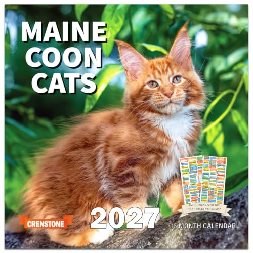Maine Coon Cats Mini Calendar 2027 image