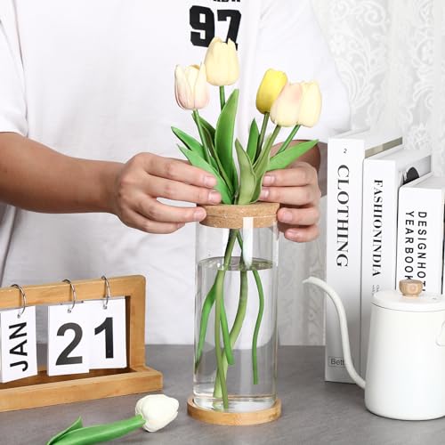 Maxcheck MAXCHECK-TERRARIUMS-71 3 Pcs 3 Sizes Plant Propagation Station Separated Glass Plant Terrarium Water Hydroponic Planter Holder thumb #2
