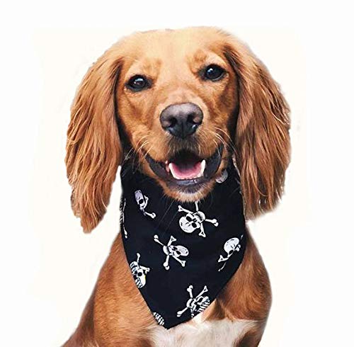 Spoilt Rotten PetsBlack With White Skulls Pirate Jolly Roger Fancy Dress Dog Bandana (S2 Small Dogs Terrier, Shih-Tzu & Cockers)