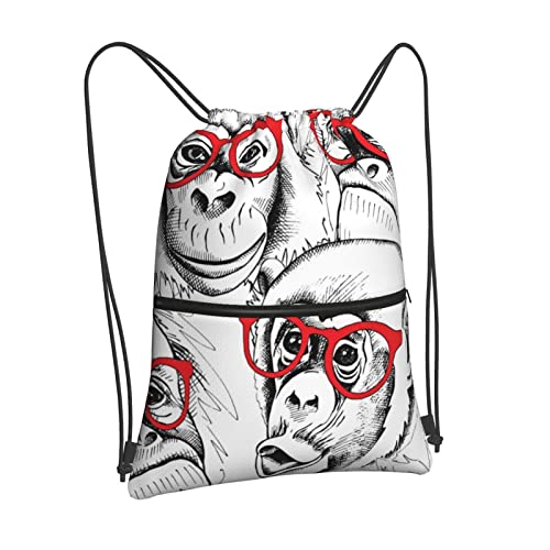 [DAQIFCBO] Ԃ Kl  ibvTbN ̑ j̎q ̎q В ւ ̑ w ʉʊw