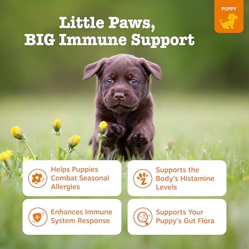 Image of Zesty Paws Puppy Dog Allergy Chews - Dog Allergy Relief, Lamb, 90 Ct