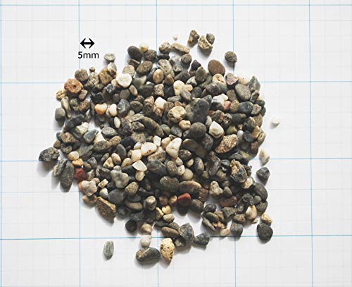 Amazon | 天然観賞魚用底砂 砂利 (5kg) 水槽用 小分け包装 小粒 熱帯魚