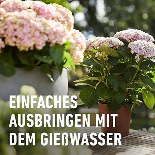 Compo Blühpflanzendünger 1l – Ansicht 6