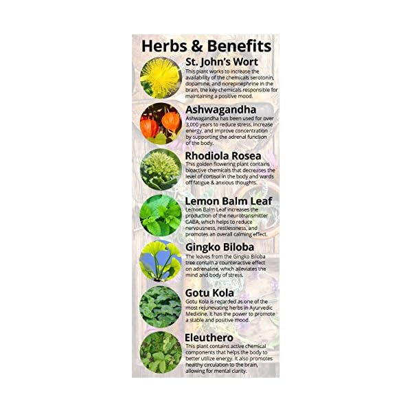 Joy-Filled-100-Plant-Based-Supplement-for-Anxiety-Depression-Relief-Helps-Relax-The-Mind-Boosts-Mood-Relieve-Stress-Contains-7-Powerful-Herbs-Non-GMO-60-Vegan-Capsules Joy-Filled Mood Support Supplement with St. Johns Wort | Helps Calm The Mind & Body, Stress Relief Energy Supplements | 100% Plant-Based, Ashwagandha, Rhodiola, Eleuthero | Herbal Adaptogens, 60 ct