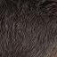 Medium Brown 5.0