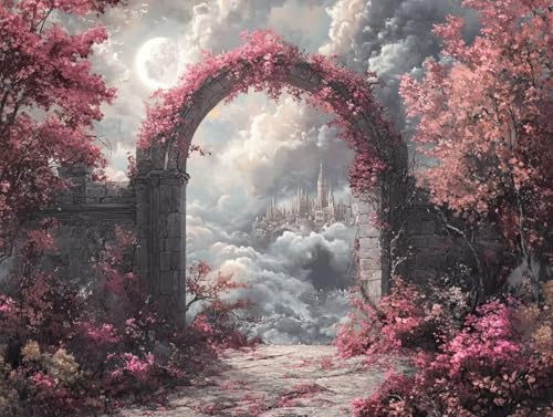 Peinture par Numéro Adulte sur Toile 80x60 Motif Porte Magique Activité Relaxante pour la Maison