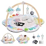 RAMOGIG Baby Play Gym & Activitiy Mat, Upgraded 6 Developmental Zones, Tummy Time Mat with Sensory Toys for Motor Skill & Sensory Development, Essentials Shower for Baby