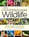 National Geographic Illustrated Guide to Wildlife: From Your Back Door to the Great Outdoors