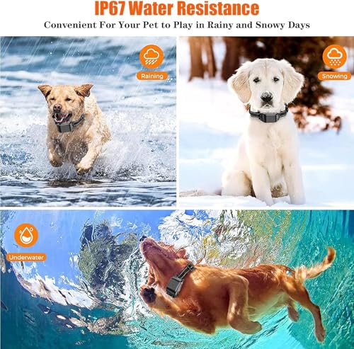 Wireless Dog Collar and Transmitter Design