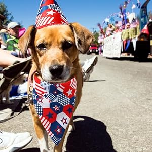 FLAdorepet Independence Day Dog Costume Outfit for Small Large Dogs Cats,American Flag 4th of July Uncle Sam Patriotic Dog Hat and Dog Bandana Triangle Bib Scarf (Blue, Large) FLAdorepet Independence Day Dog Costume Outfit for Small Large Dogs Cats,American Flag 4th of July Uncle Sam Patriotic Dog Hat and Dog Bandana Triangle Bib Scarf (Blue, Large)