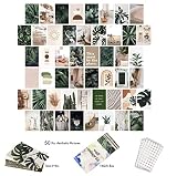 SOONYO 50PCS Green Room Decor Aesthetic Posters Wall Collage Kit,Boho Collage Kit Plant Room Decorat