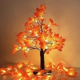 Luz de árbol de arce