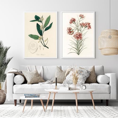 Impressions botaniques sur toile vintage, art esthétique fleurs pour décoration murale maison