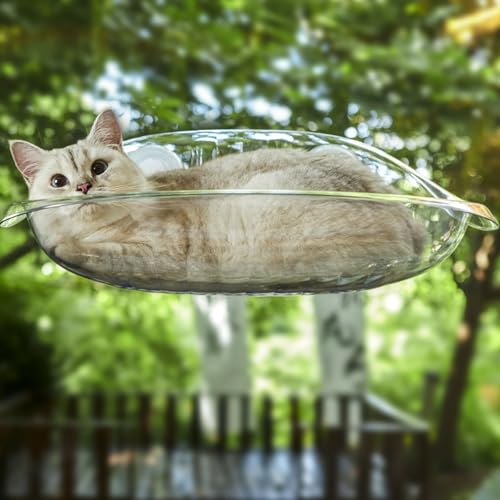 Poleiro de Janela de Gato, Quadro de Escalada de Gato Suspenso Transparente Pendurado Rede de Dormir